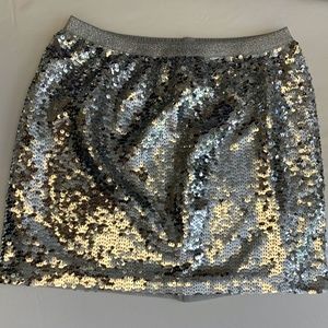 Silver Sequin Skirt